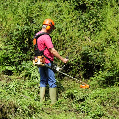 Cutting back the bush
