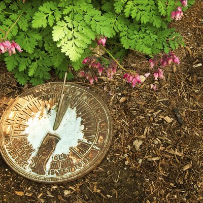 Sundial on Bark Mulch Next to Bleeding Hearts