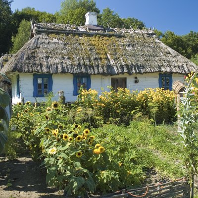 Wooden cottage house and a garden