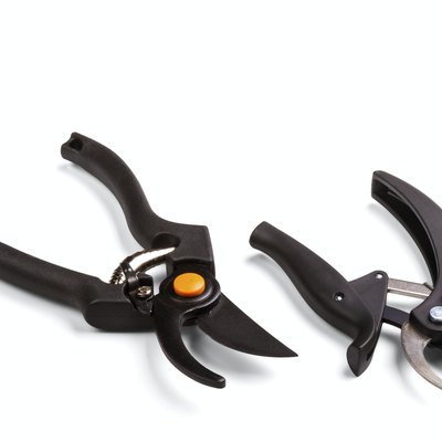 garden secateurs
