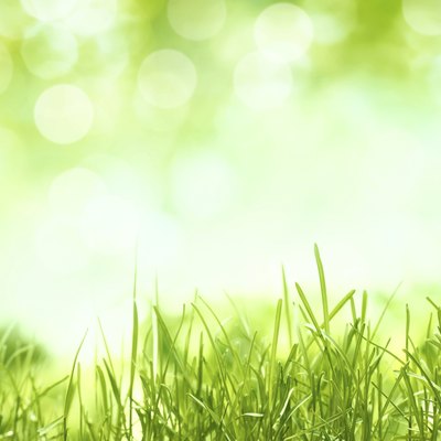 Natural backgrounds