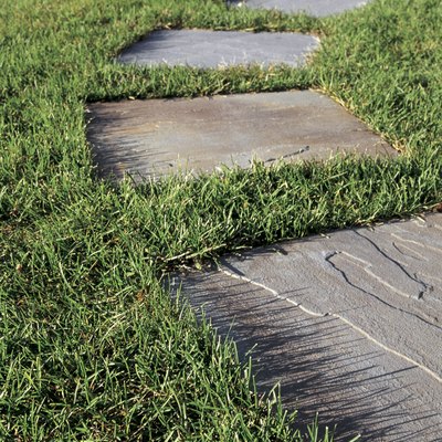Grass with stepping stones
