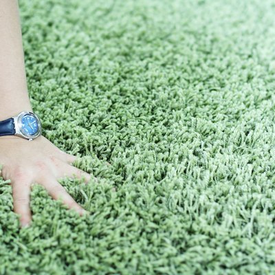 Shaggy carpet and watch