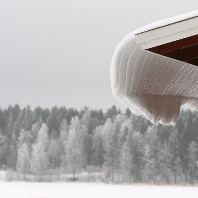 Snow covered eaves and forest