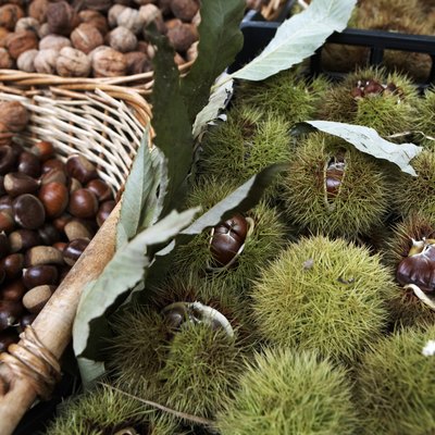 Chestnuts on market stall, close-up