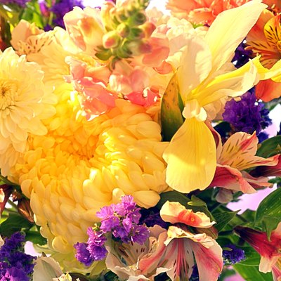 Close-up of spring bouquet of flowers