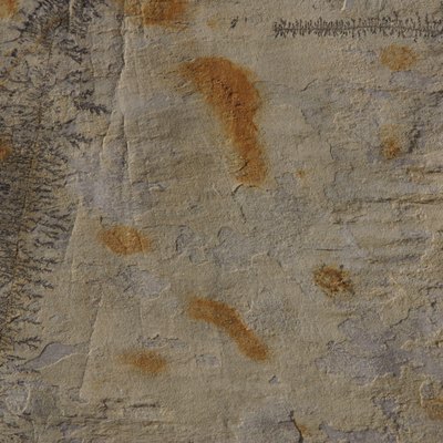 Texture of rock or concrete surface