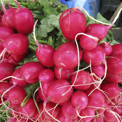 Mexican Food Market Radishes