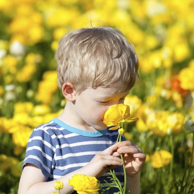 spring time