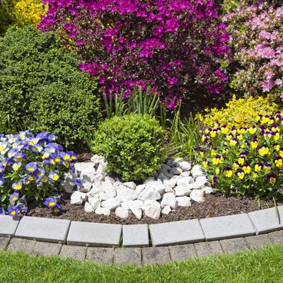 beautiful ornamental garden with blooming flowers