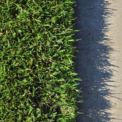 Grass and Concrete
