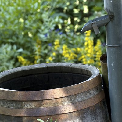 The barrel