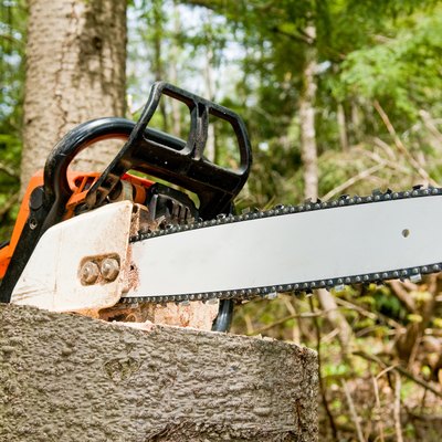 Chainsaw on tree stump