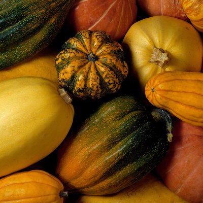 Assortment of squash