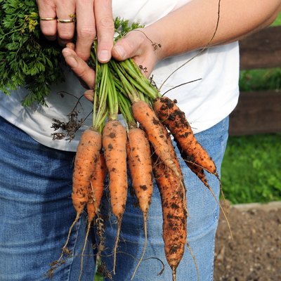 Carrots