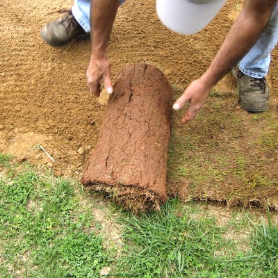 Rolling Sod