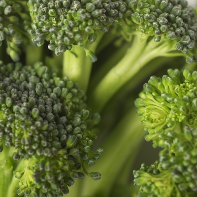 Broccoli, close-up