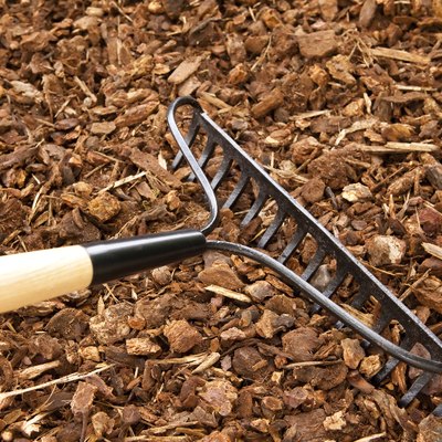 Rake Chips