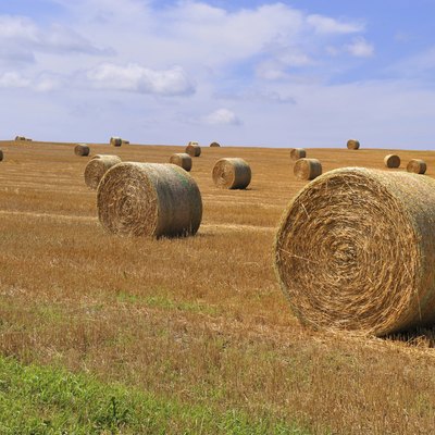Bale of Straw