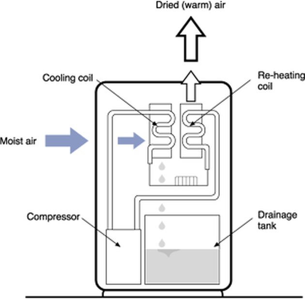 How Does a Dehumidifier Work? Hunker