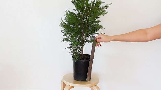 Measuring height of planter pot