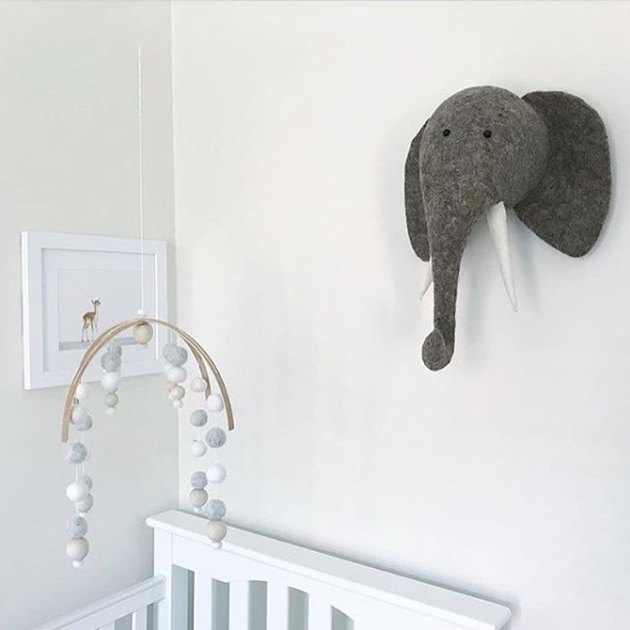 stuffed animal head mounts
