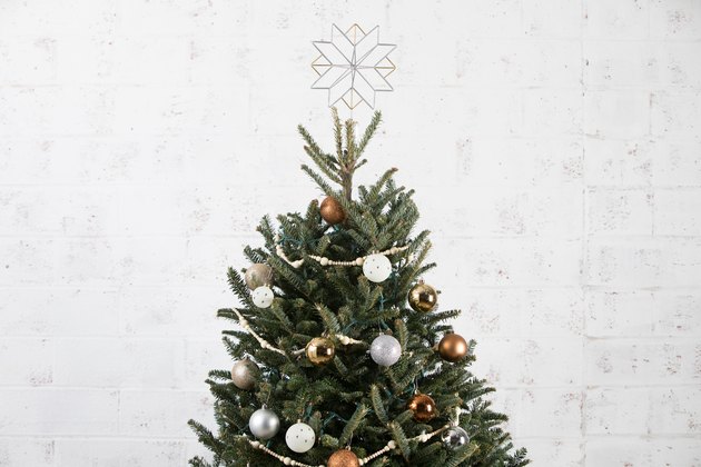 amazon live christmas tree