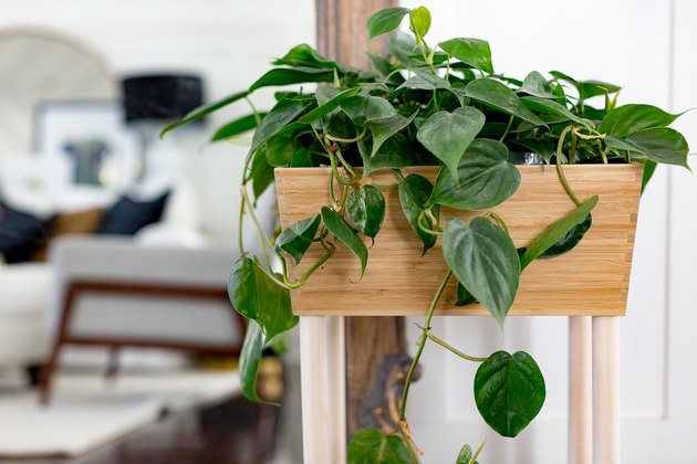 IKEA VARIERA planter