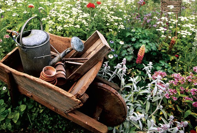 rustic wheelbarrow and watering can