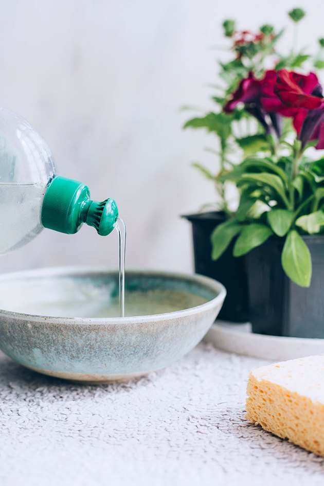 DIY naturalny środek do czyszczenia dywanów
