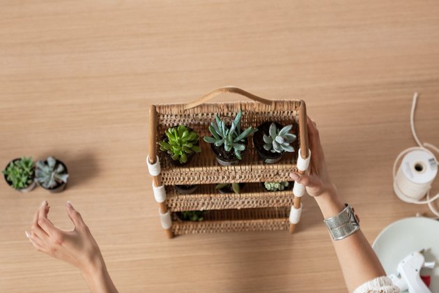 Earth Day planter DIY with succulents