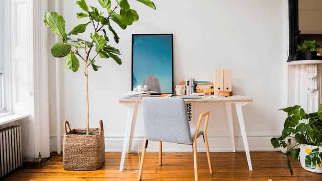 A white desk next to a towering plant