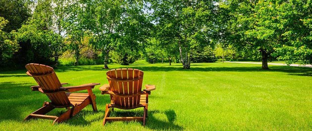 Lawn with lawn chairs.