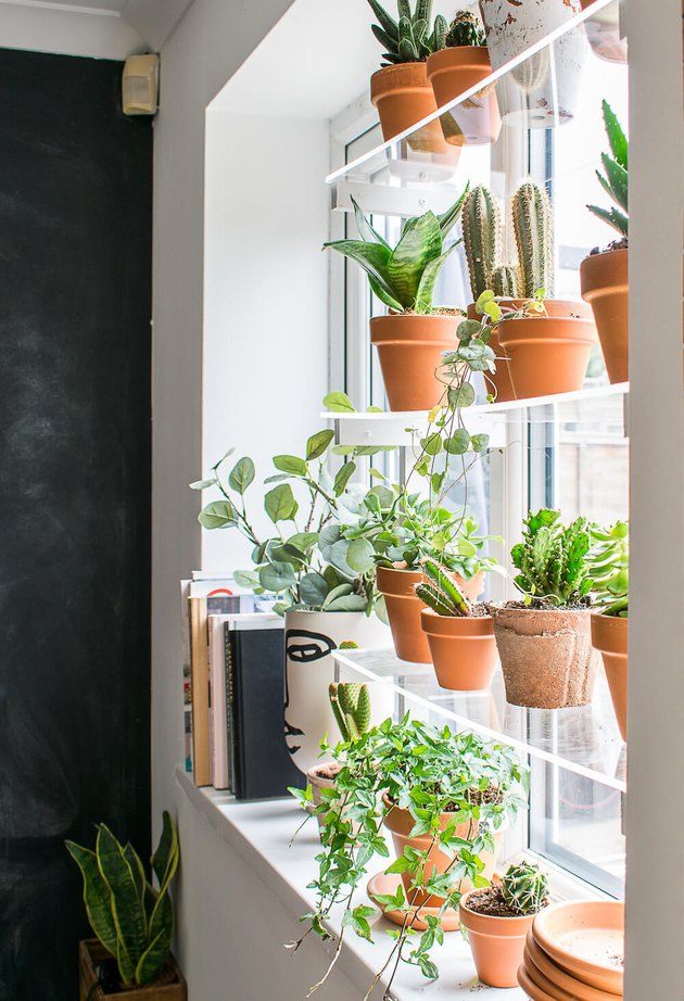 étagères de fenêtre en acrylique avec des plantes en terre cuite