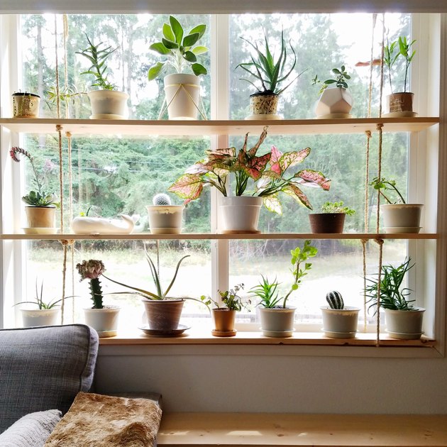 Window Plant Shelf Ideas and Inspiration Hunker