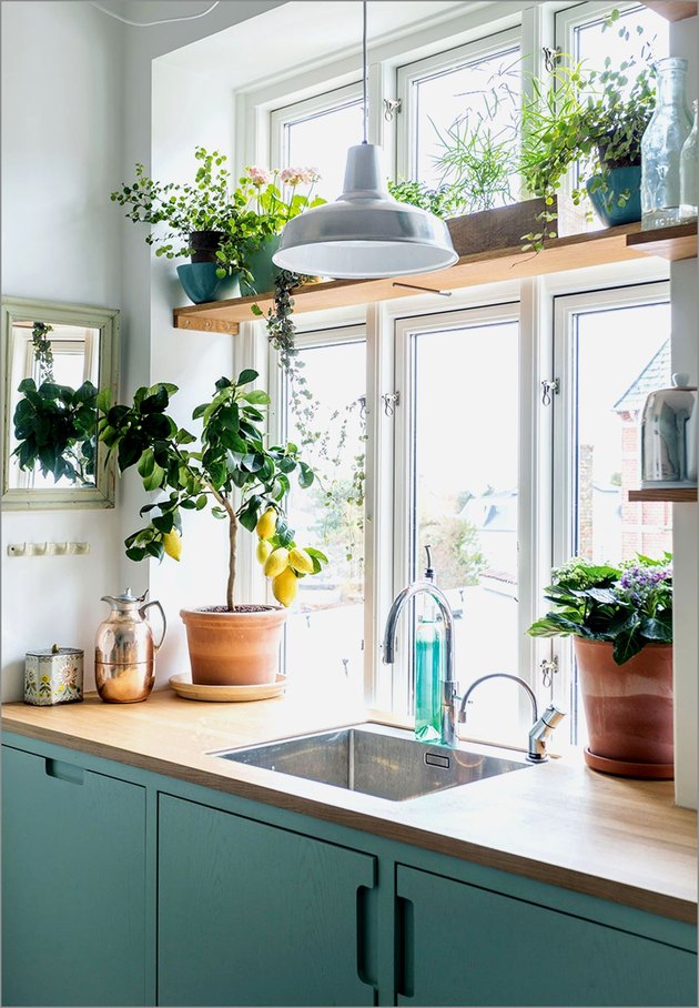 cuisine verte et blanche avec étagère de fenêtre en bois