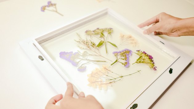 Framed Pressed Flowers DIY