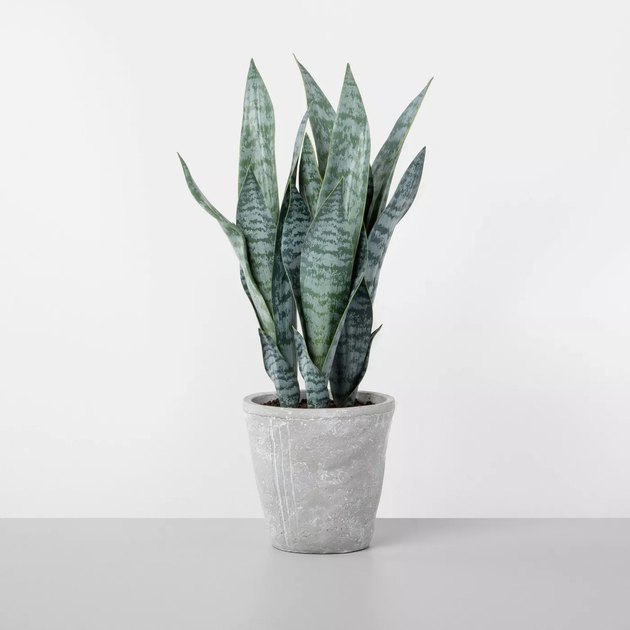 These Under-$20 Faux Plants are Joanna Gaines-Approved  Hunker