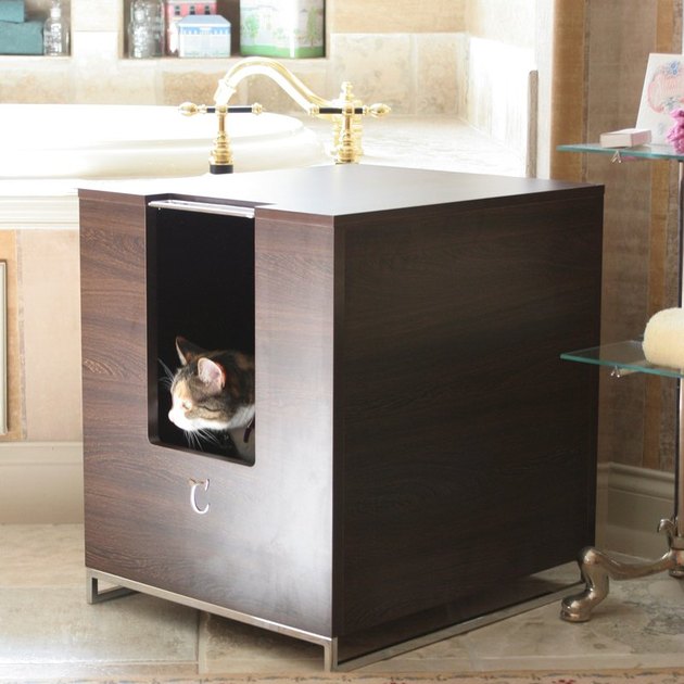 9 Stylish Ways to Hide Your Cat's Litter Box Hunker