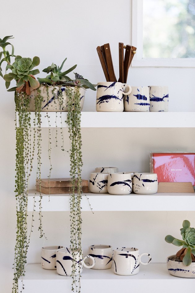 String of pearls plant on shelf with ceramics