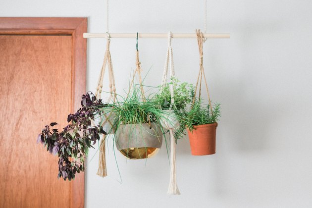 This DIY Hanging Herb Garden is ideal for small spaces.