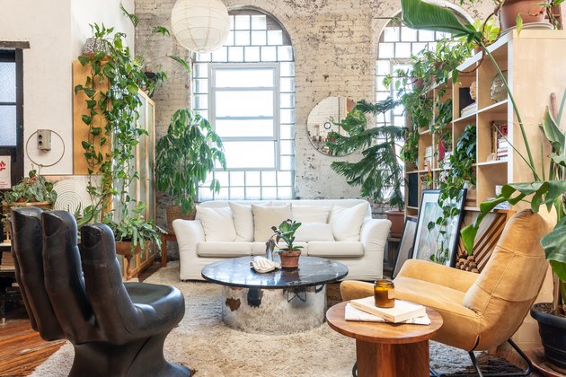 Loft apartment with plants