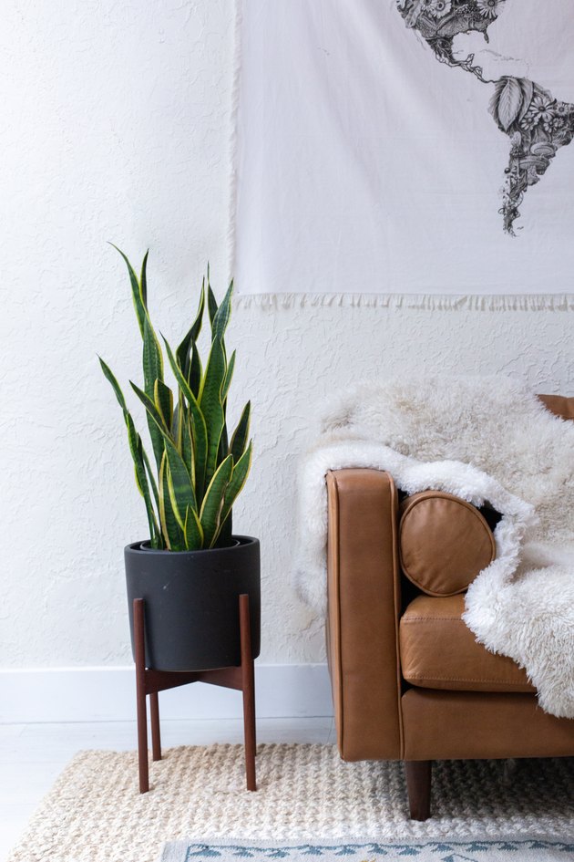 Leather couch withe sheepskin rug next to black planter with a snake plant