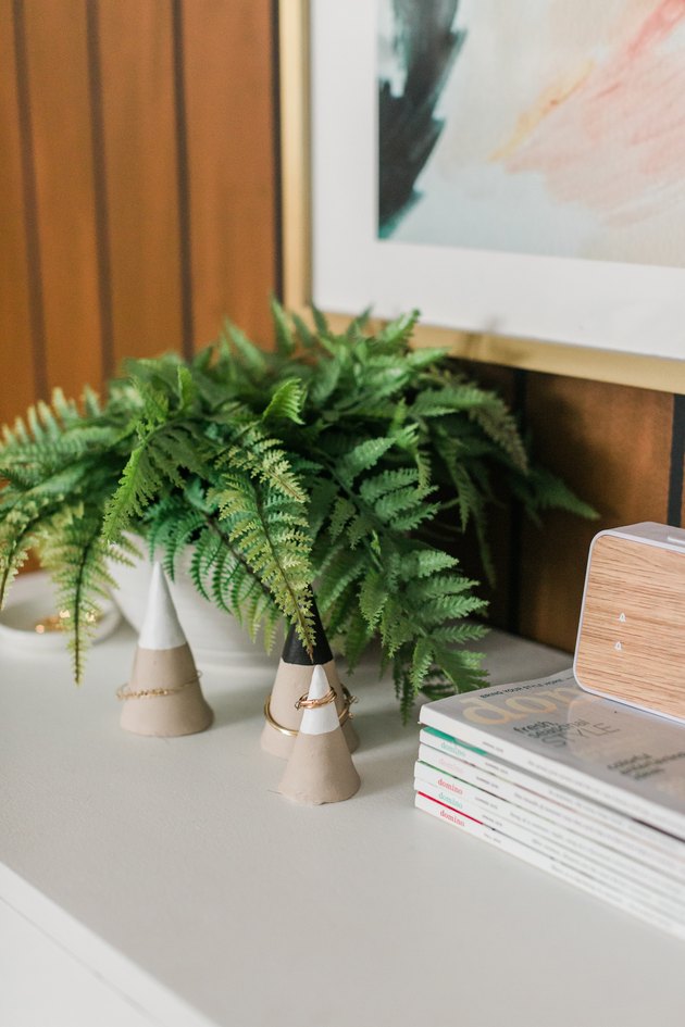 Fern plant on a dresser