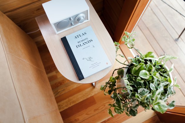 Side table with plant near window
