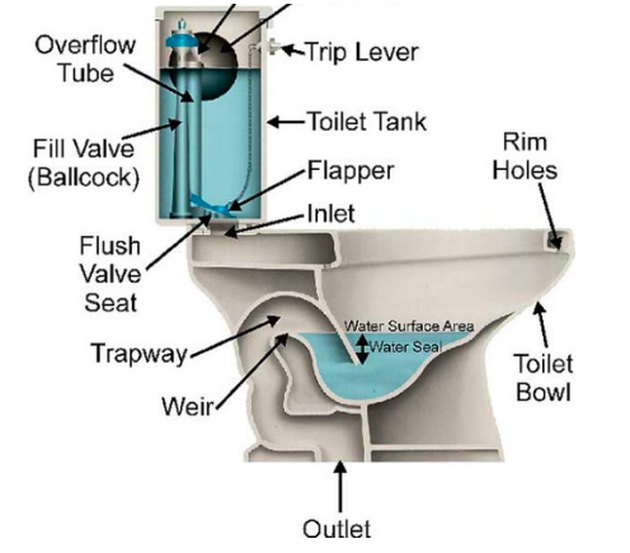 Cutaway of a standard toilet.