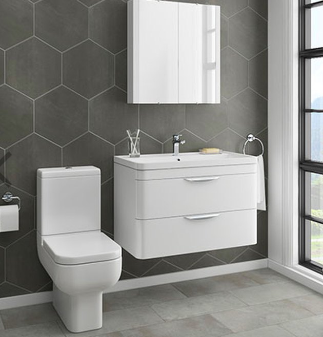 Contemporary design toilet and vanity.