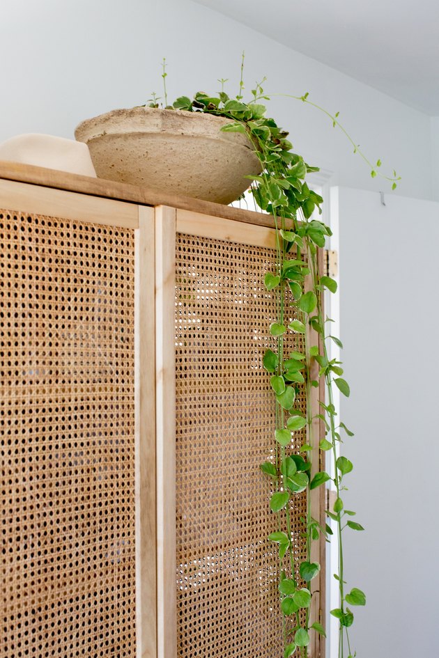 Plant on cane cabinet