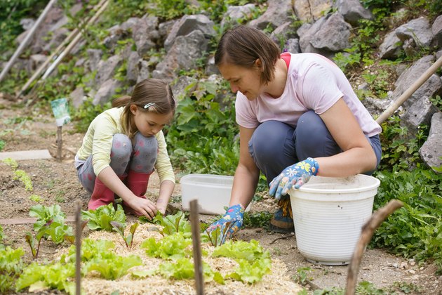 Mother and daughter working in the vegetable garden