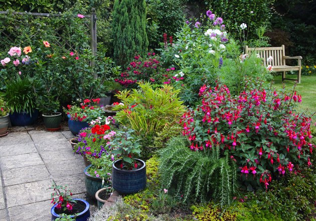Bright flowers in English garden with patio pots & flowerbeds.